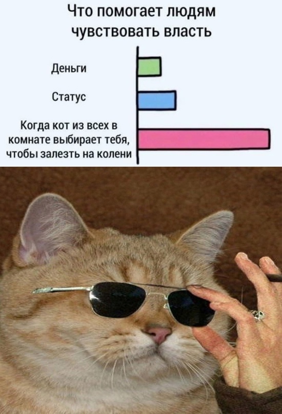 Немного картинок для настроения - 114