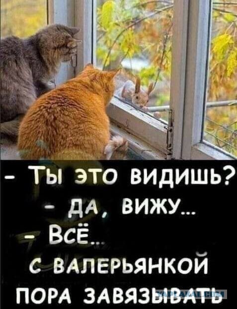 Немного не в форме
