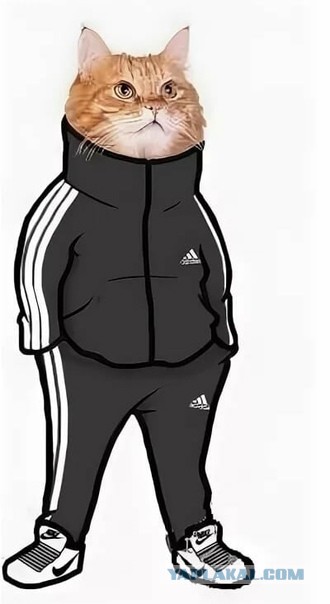 Нарисовать гопника в адидасе