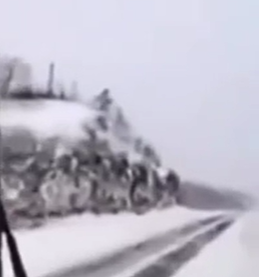 Дальнобой поляк психанул!