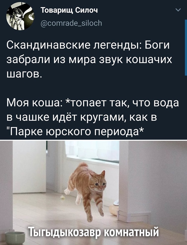 Картинки и мемы, всем хороших выходных