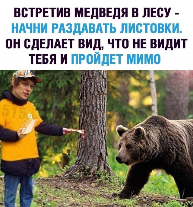Приколы с налетом деградации