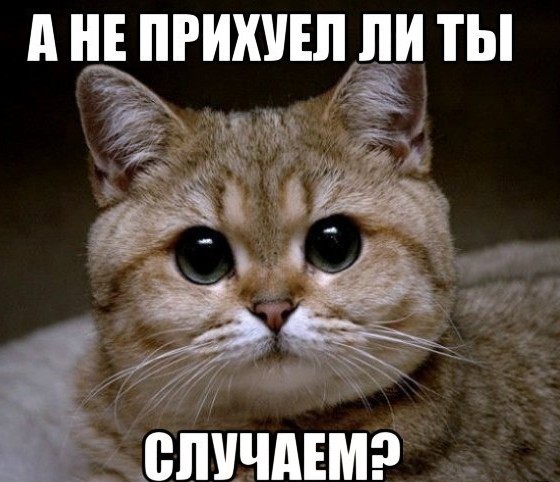 Виновники в крушении "Луны-25" найдены, все вопросы сняты