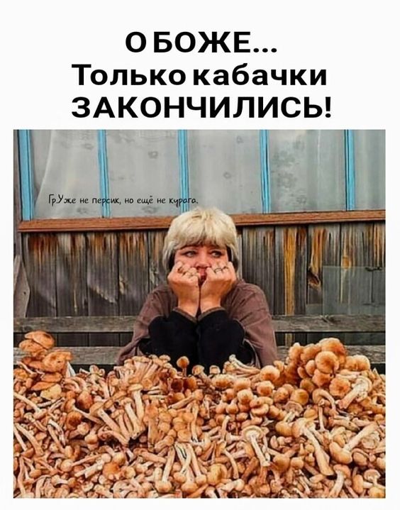 Прикольные и просто красивые картинки 13.09.2024