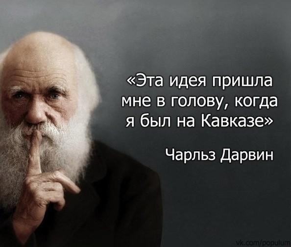 Стая бабуинов толпой вломила леопарду, напавшему на одного из них