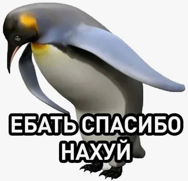 Ситуация с курсом рубля в целом под контролем, оснований для паники нет, заявил Путин