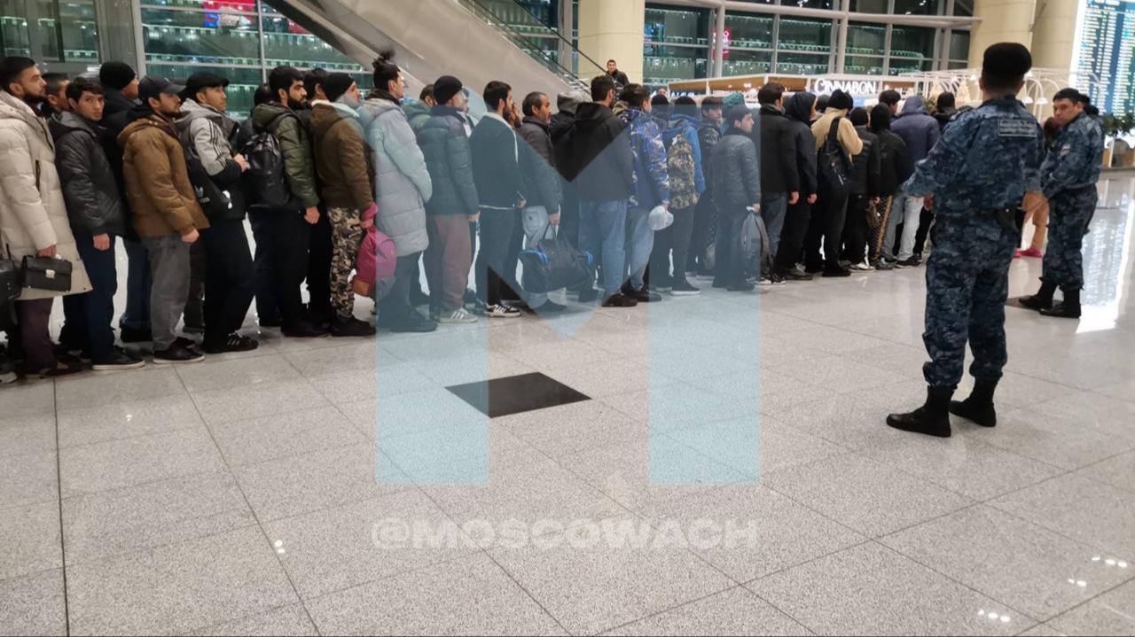 В Домодедово предновогодняя депортация мигрантов