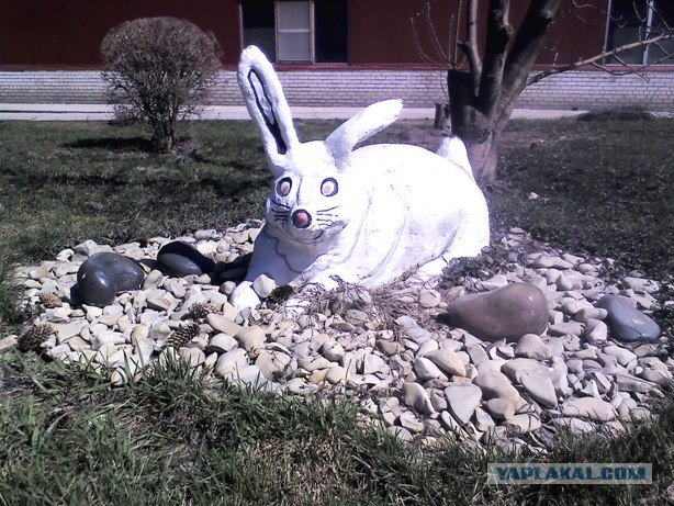 Увиденный мною позитив в Волгограде
