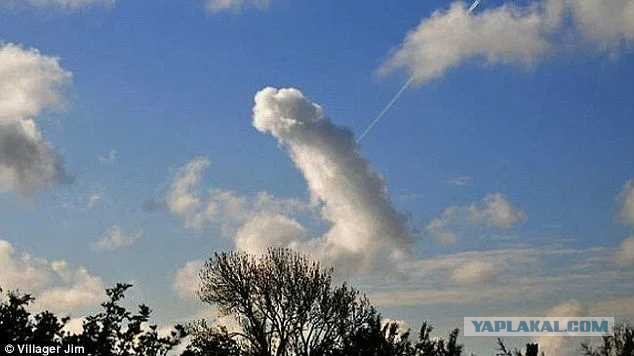 И ангел спустился с небес...