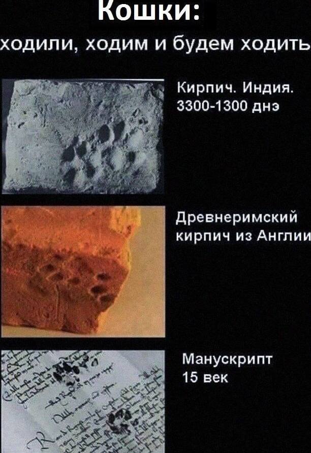20229770.jpg