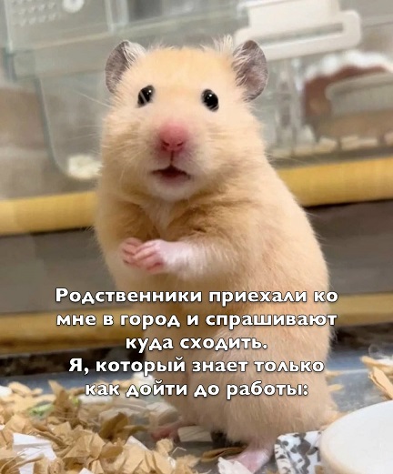 Набери меня...