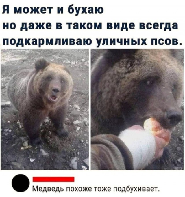 Картинки для деградации 75 (разной степени свежести)