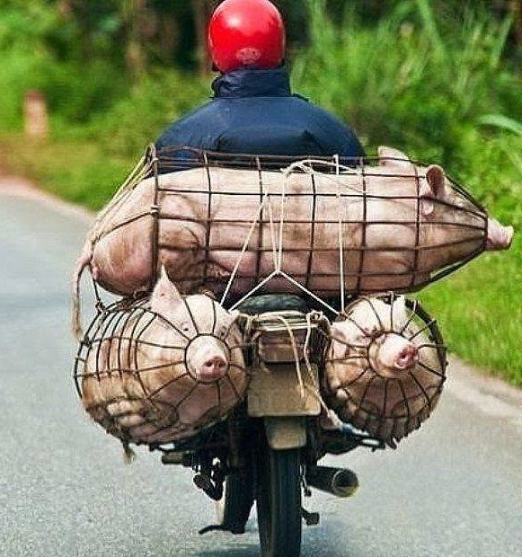 Я не придумал названия.