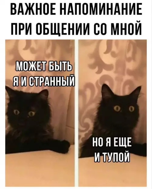 Картиночки, баянчики 09 марта