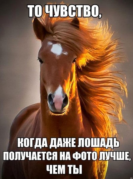 "Дамский теннисный клуб"