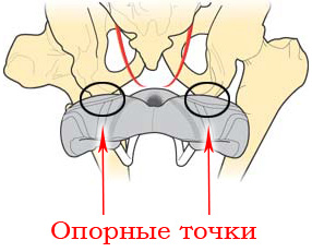 2 х 100 км на велосипеде