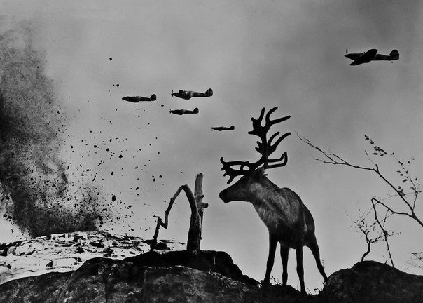 Подборка редких фотографий со всего мира