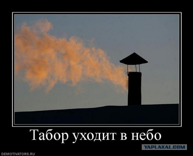 В Германии беженцев разместили на территории