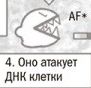 Я не веган!