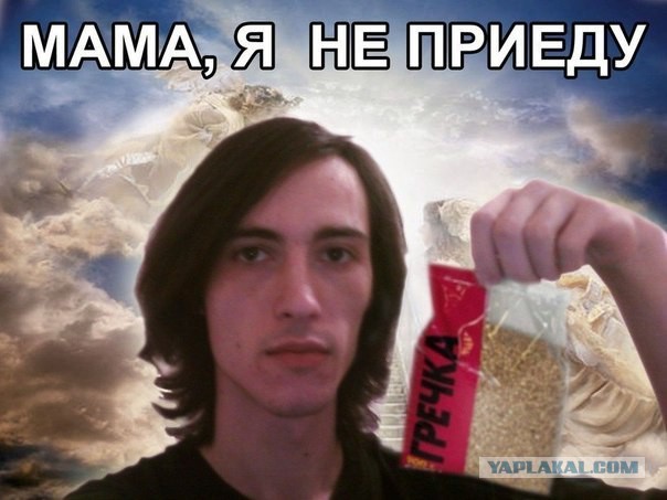 Приколы из сети