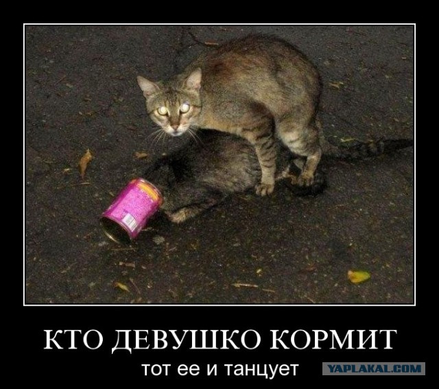 Кто должен платить на свидании