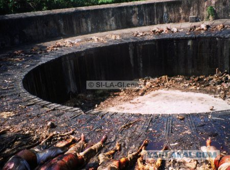 Путешествие по Ирану