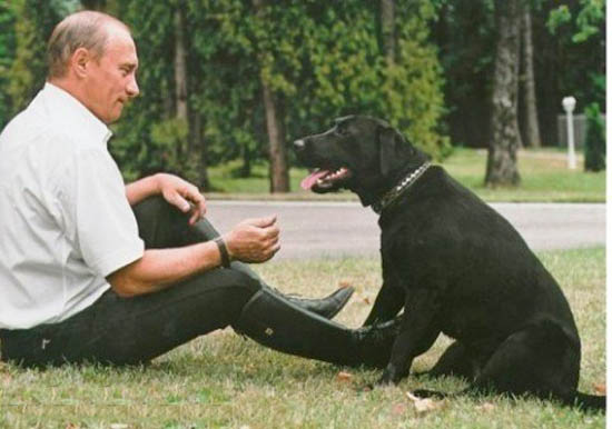 Нашёл щенка,что делать?