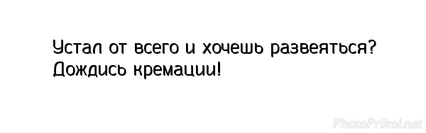 Прикольные картинки, интересные цитаты и мысли