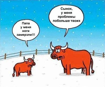 Снегопад в Орегонском зоопарке. Животные радуются снегу, как дети