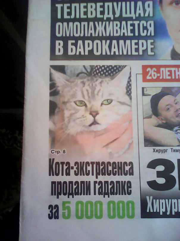 Порция картинок
