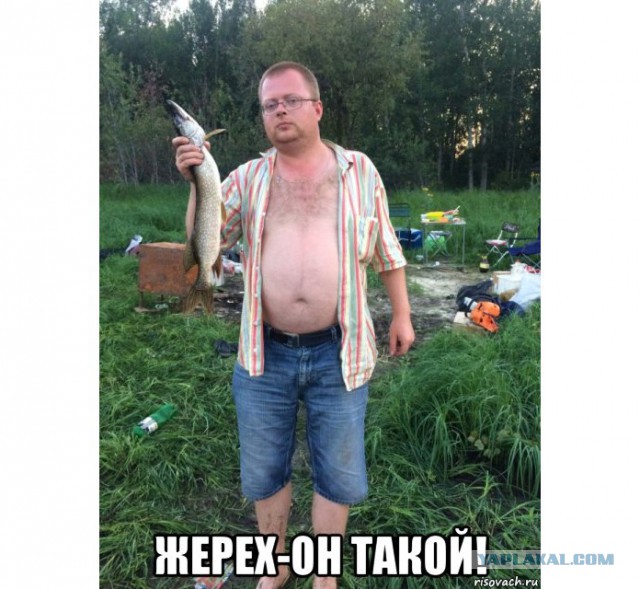Лучше бы марки собирал