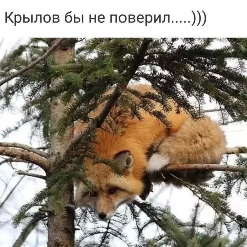 Картинок всяких разных