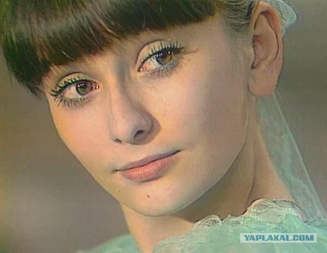 The special edition: Audrey Hepburn