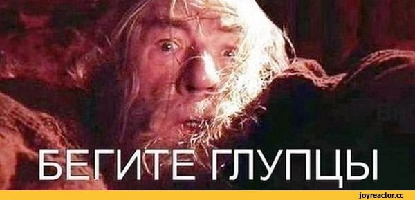 IP-адреса «ВКонтакте», «Яндекса» и Twitter попали в реестр запрещенных