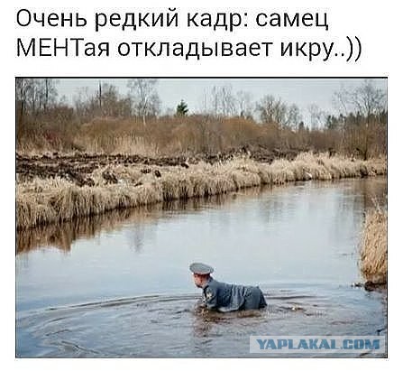 Немного картинок в эту среду