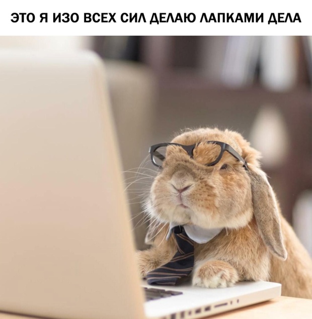 Нестандартный юмор