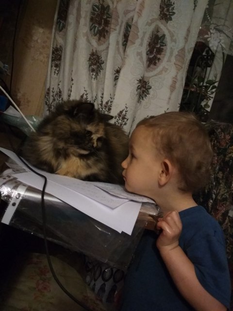 Котовторник 25.12.2018