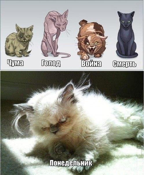 Рисованные киски