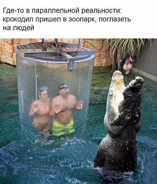 Немного картинок для настроения