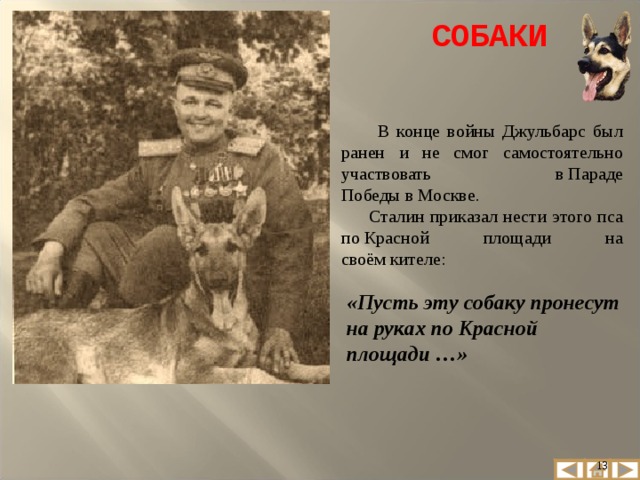 Животные во Второй мировой