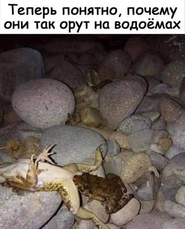 Немного картинок с надписями и без - 7