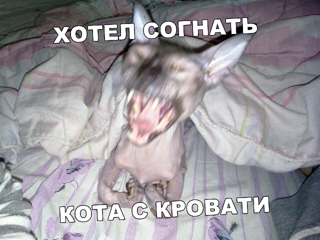 Картинки с надписями, истории и анекдоты 13.09.19