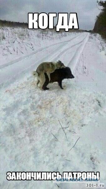 Любовь нечаянно нагрянет (18+)