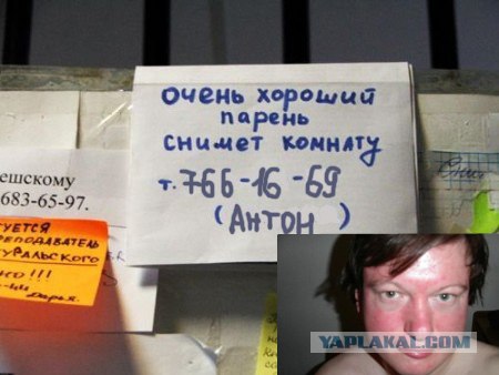 Фотожаба: Звонок в Стрим! Антон Уральский