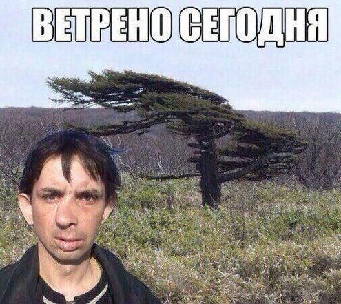 Чуток картинок 09.06.20