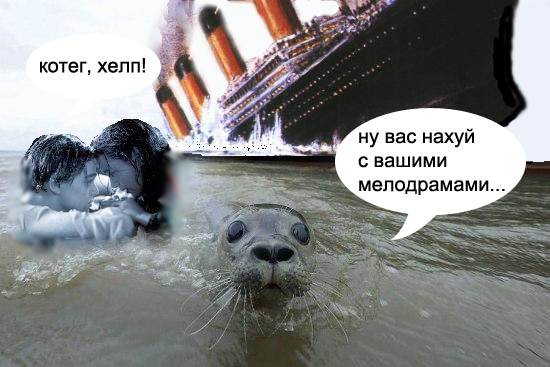 Фотожаба: Испуганый морской котик