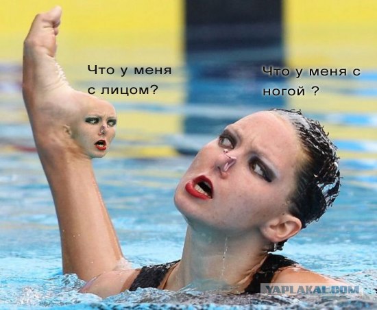 Фотожаба: Укусить - не укусить? Укушу!