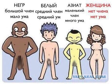 Чепухень на каждый день