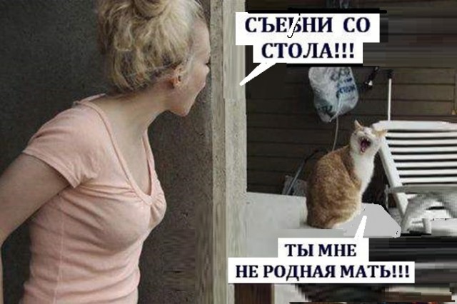 Картинки и мемы для настроения 005