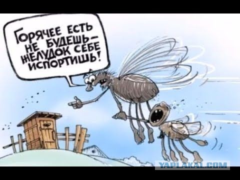 Россиянка с дочкой заразились сонной болезнью на Занзибаре
